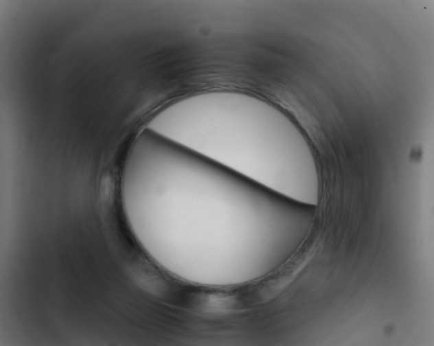 X0000103430165200809121046
