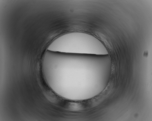 X0000103430167200809121046