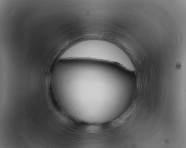 X0000103430168200809121046