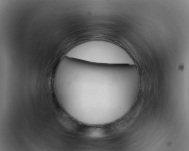 X0000103430169200809121046