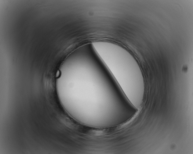 X0000103430170200809121046