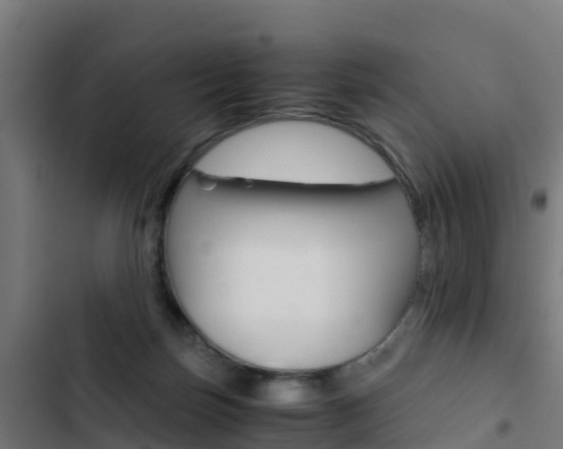 X0000103430171200809121046