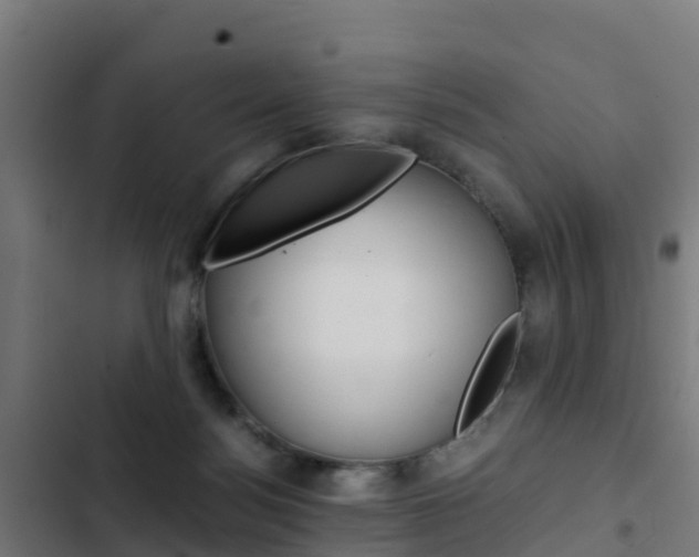X0000103430172200809121046