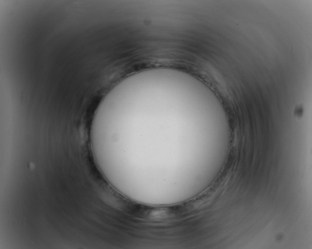 X0000103430173200809121046