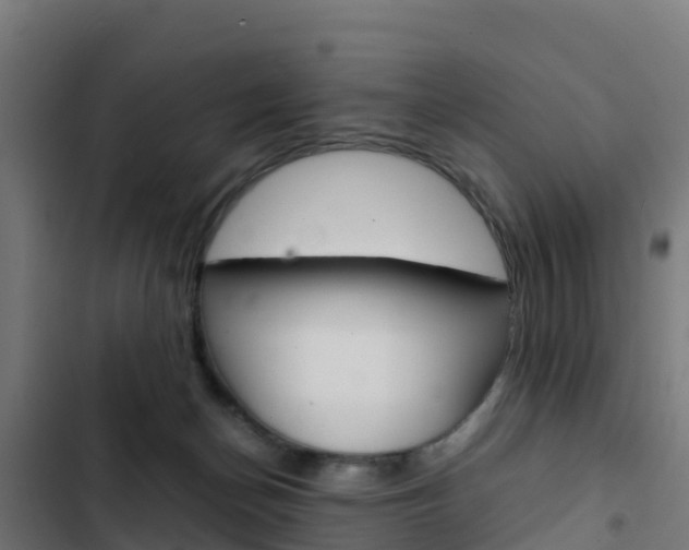 X0000103430174200809121046