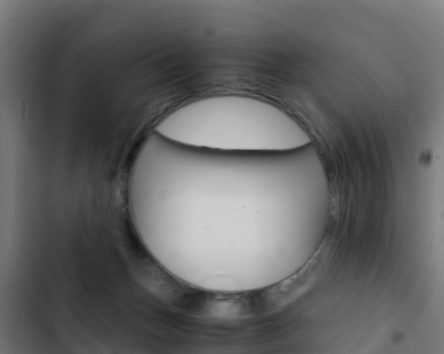 X0000103430175200809121046