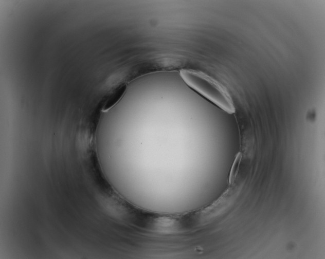 X0000103430176200809121046