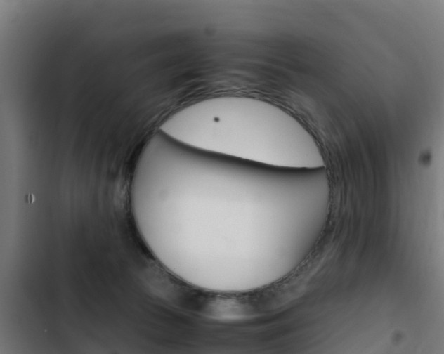 X0000103430177200809121046