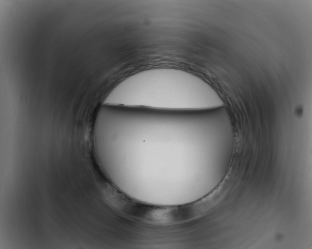 X0000103430178200809121046