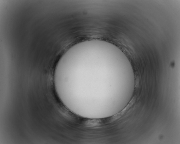 X0000103430179200809121046