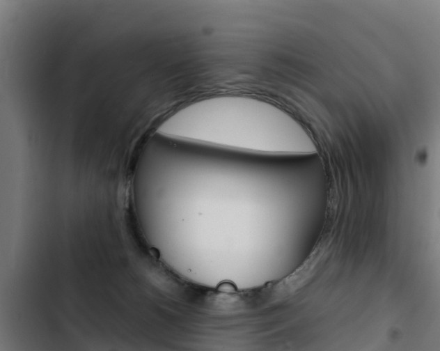 X0000103430180200809121046