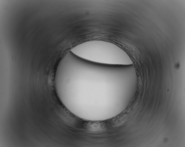 X0000103430181200809121046