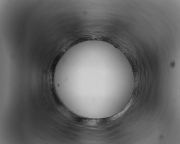 X0000103430182200809121046