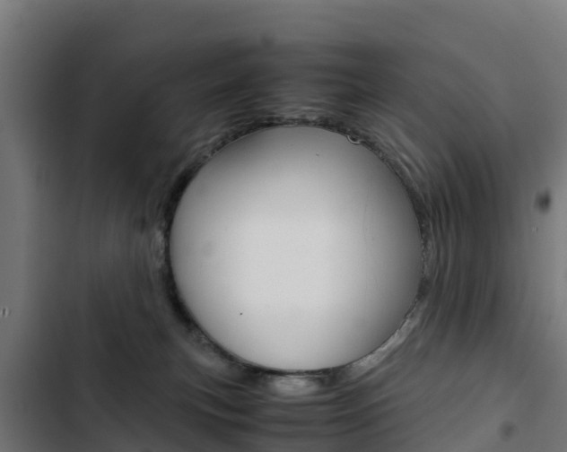 X0000103430183200809121046