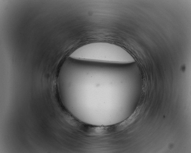 X0000103430184200809121046