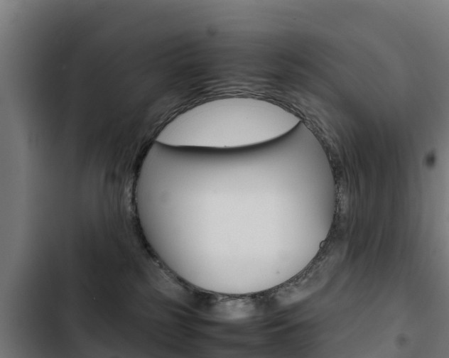 X0000103430185200809121046