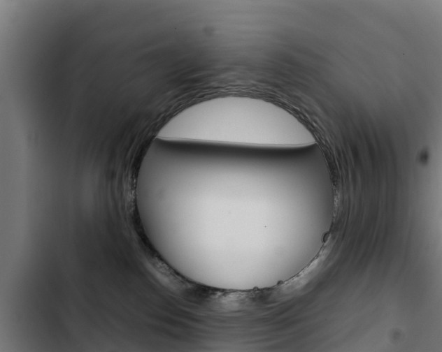 X0000103430186200809121046