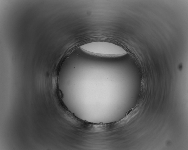 X0000103430188200809121046