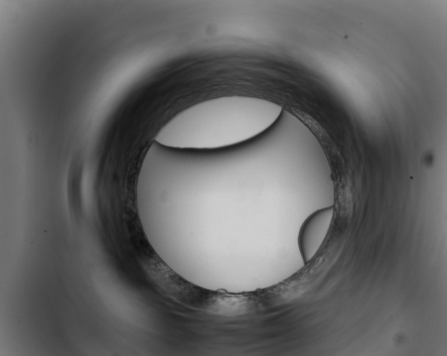 X0000103430189200809121046