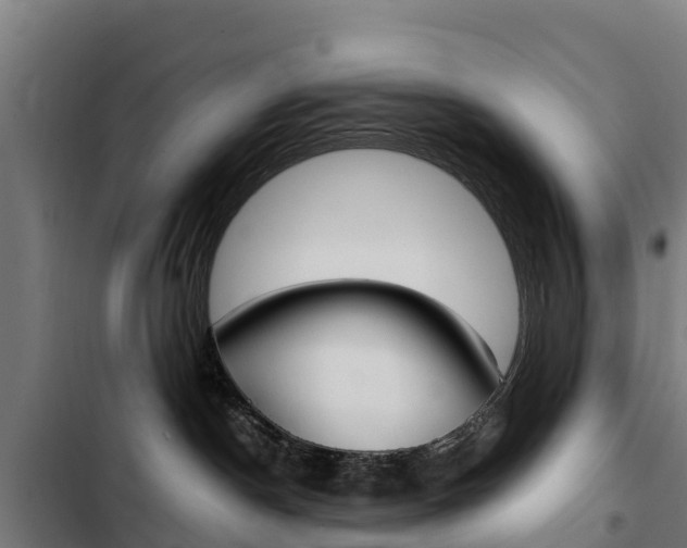 X0000103430190200809121046