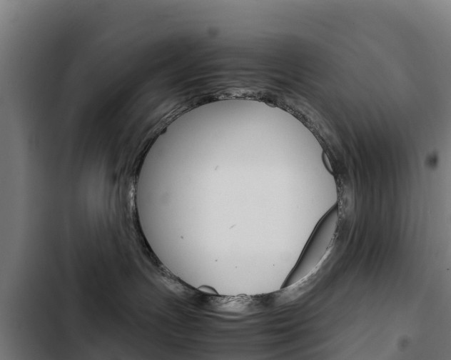 X0000103430191200809121046