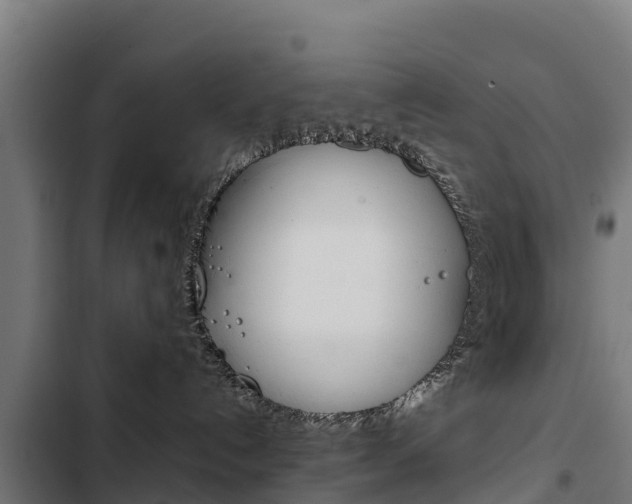 X0000103430192200809121046