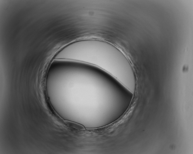 X0000103430193200809121045