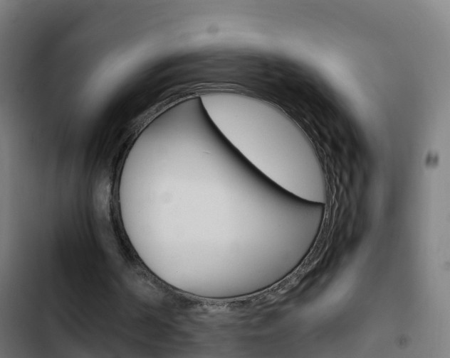 X0000103430194200809121045