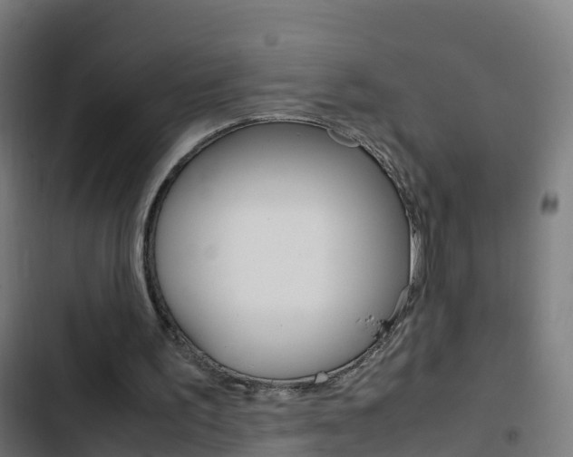 X0000103430195200809121045
