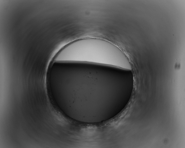 X0000103430196200809121045