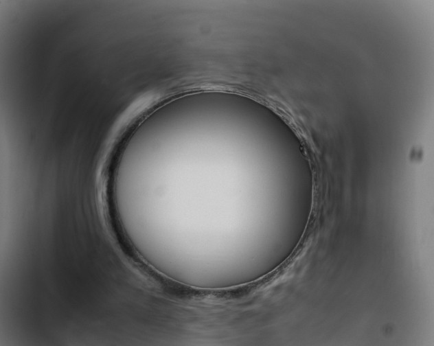X0000103430197200809121045