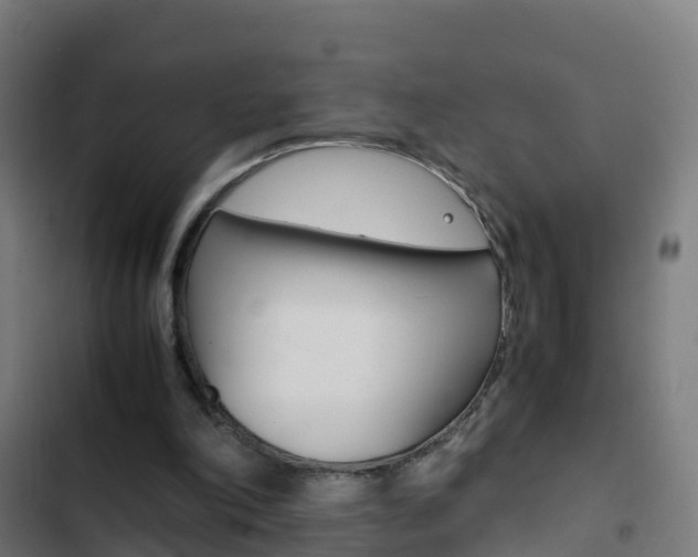 X0000103430198200809121045
