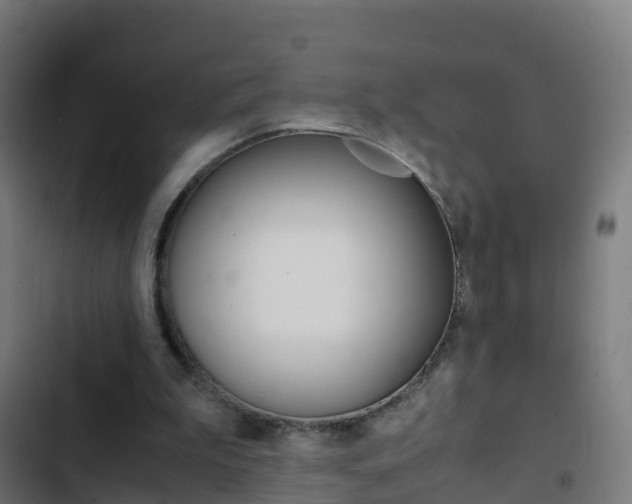 X0000103430199200809121045
