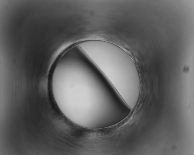 X0000103430200200809121045