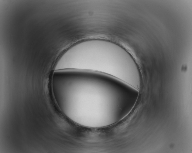 X0000103430201200809121045