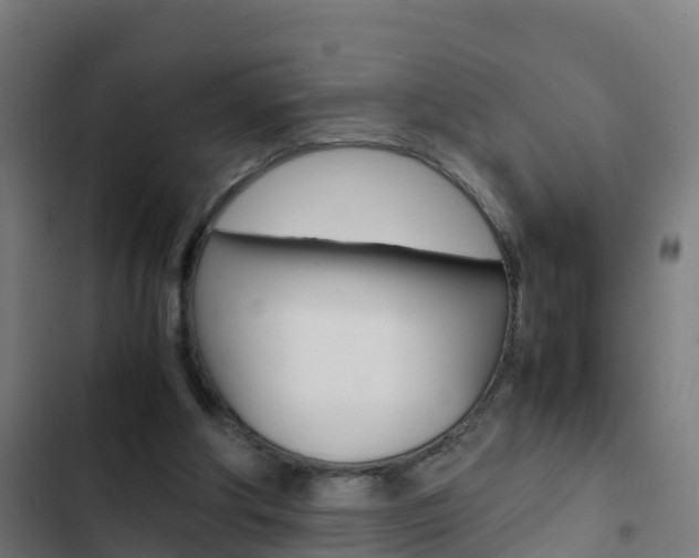 X0000103430202200809121045
