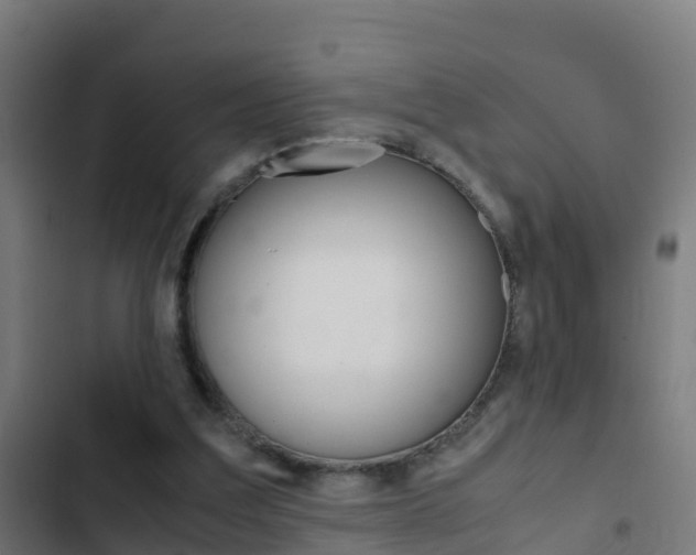 X0000103430203200809121045