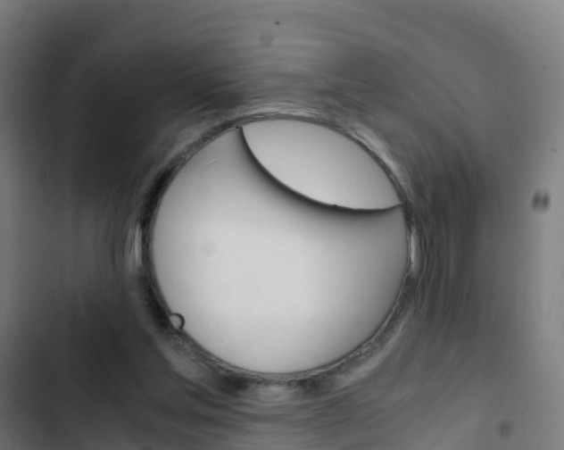 X0000103430205200809121045