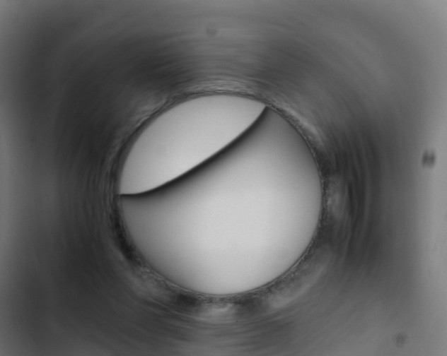 X0000103430206200809121045