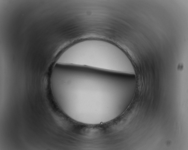 X0000103430208200809121045