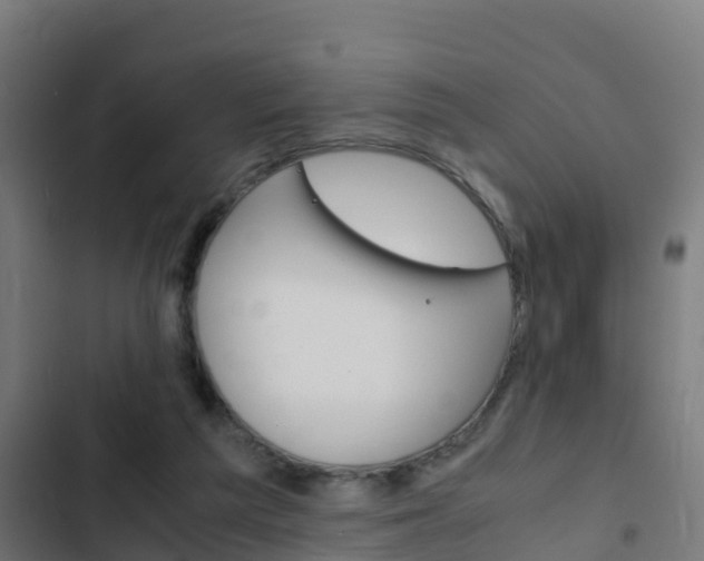 X0000103430209200809121045
