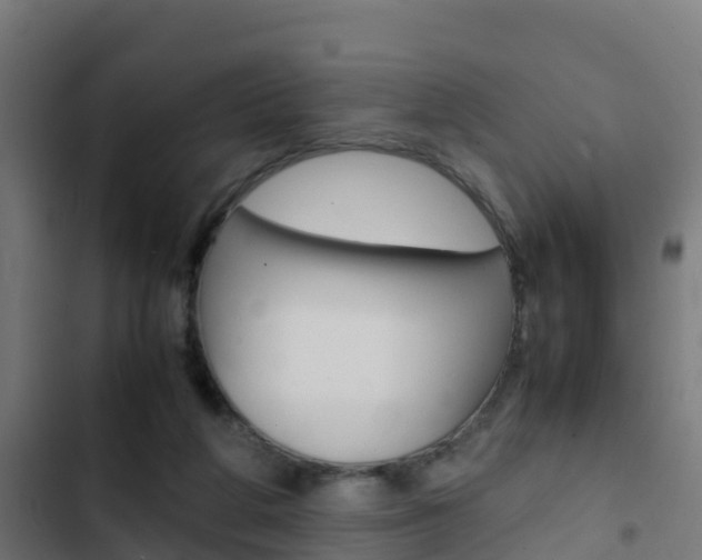 X0000103430210200809121045