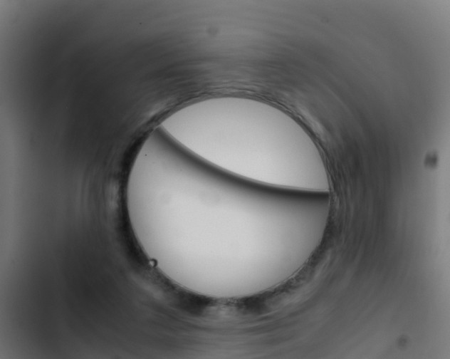 X0000103430211200809121045