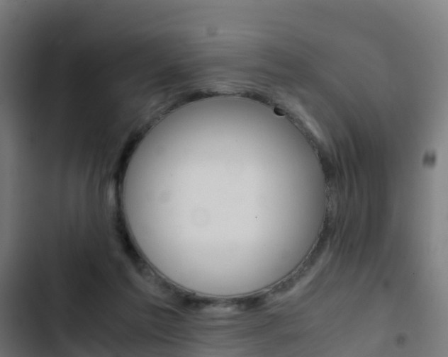 X0000103430213200809121045