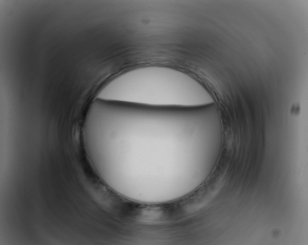 X0000103430214200809121045