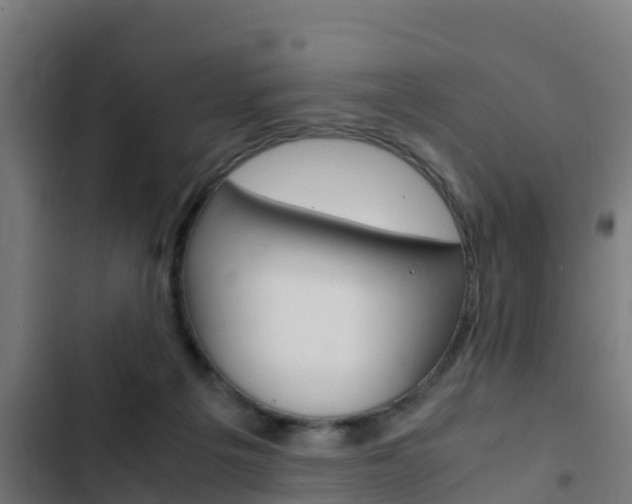 X0000103430217200809121045