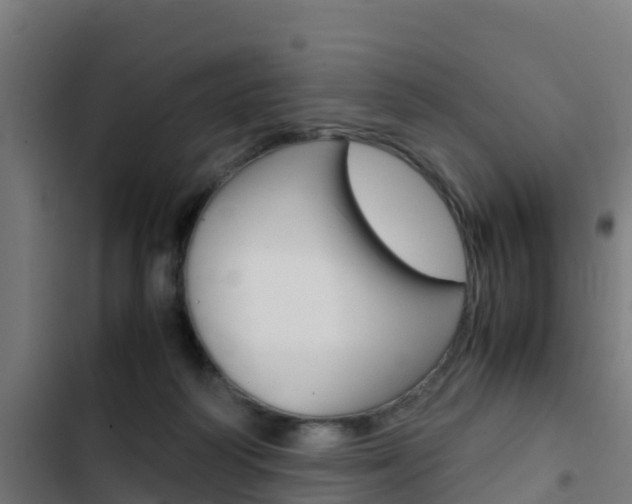 X0000103430218200809121045