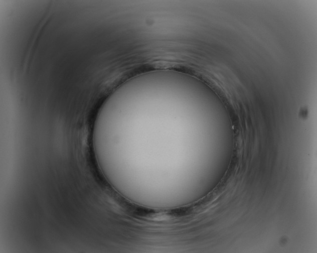 X0000103430219200809121045