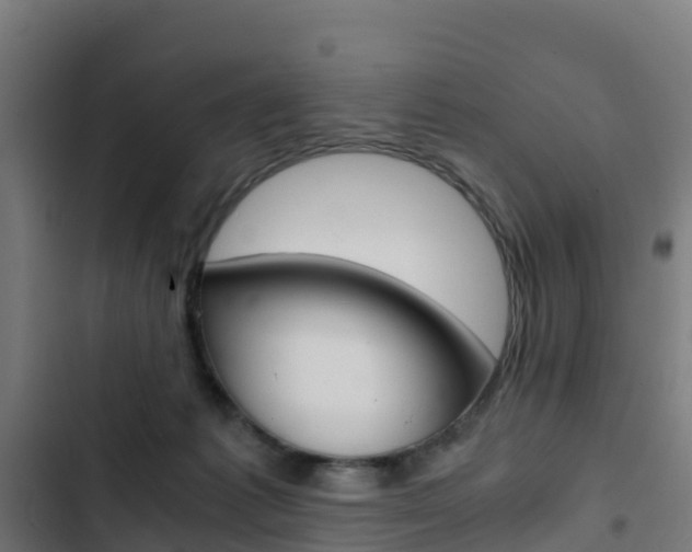 X0000103430221200809121045