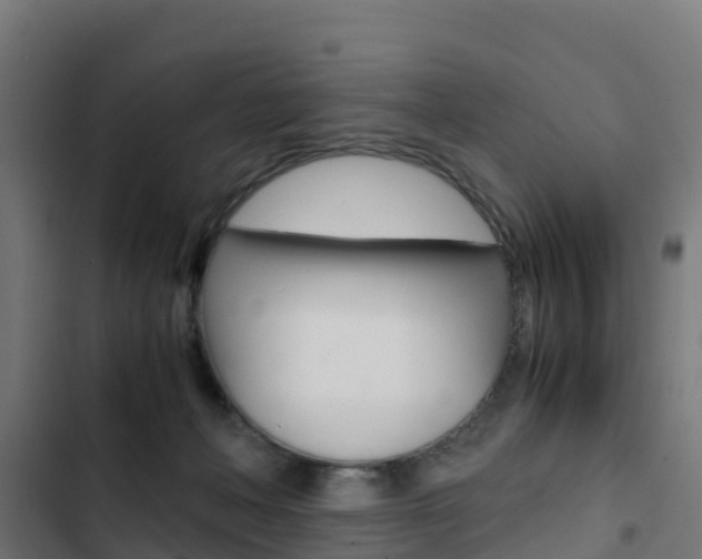 X0000103430222200809121045
